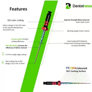 BLACK PRISMA  ROTARY FILES