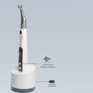 DENTALNESS Y SMART FIBER ENDOMOTOR