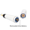 DENTALNESS OBTURATION PEN