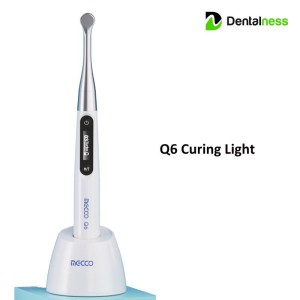 MECCO Q6 CURING LIGHTS