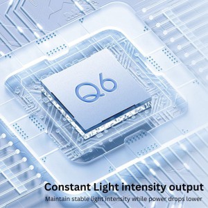 MECCO Q6 CURING LIGHTS